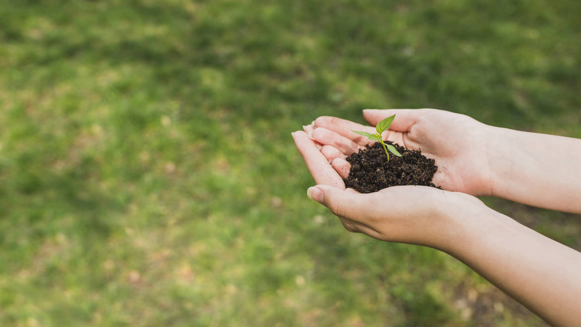 Basso Impatto Ambientale