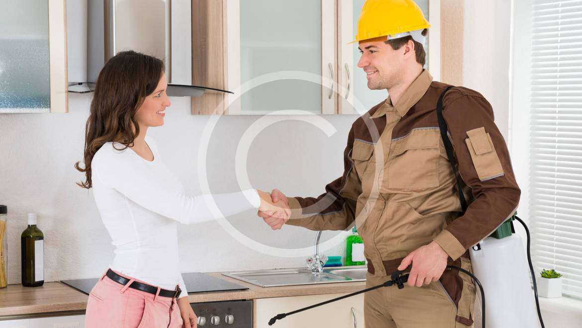 Fast Pest  Removal